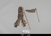 藏品(中國湖北皮影戲偶身)的圖片